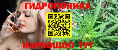 гашик Балахна
