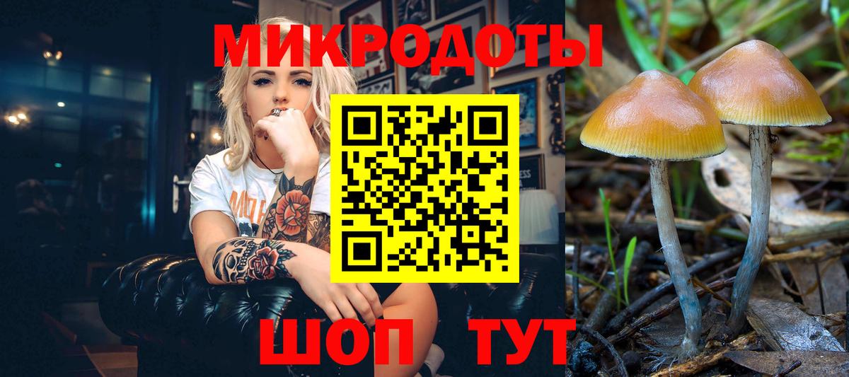 Галлюциногенные грибы Magic Shrooms Грязи