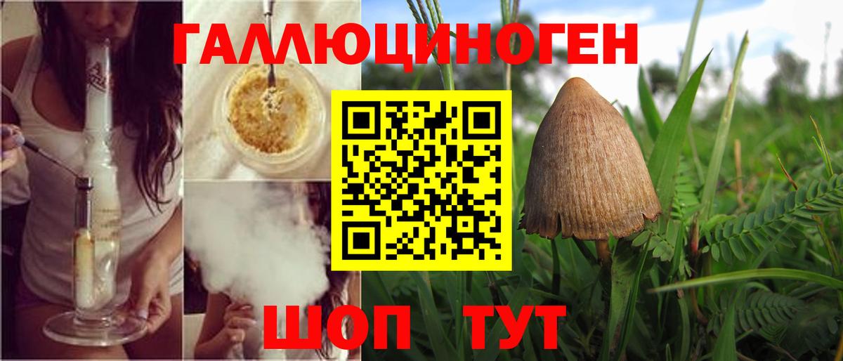 где найти наркотики  Вход с VPN  Грязи  Галлюциногенные грибы Psilocybe 